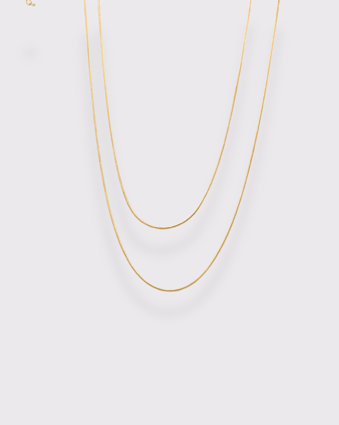photo collier double serpentine ronde fond gris clair