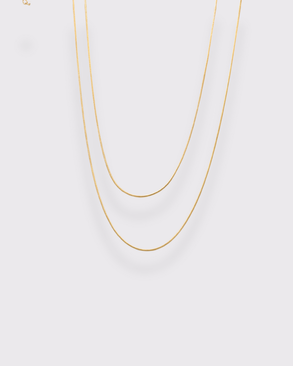 photo collier double serpentine ronde fond gris clair